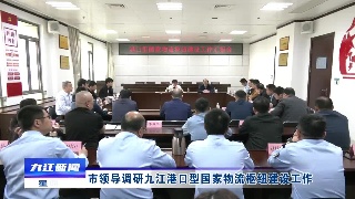 市领导调研九江港口型国家物流枢纽建设工作