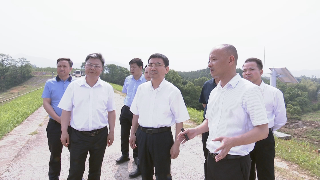 蒋文定调研庐山杏林中医药产业园项目