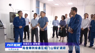 陈俊卿到柴桑区城门山铜矿调研