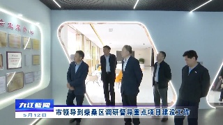 市领导到柴桑区调研督导重点项目建设工作