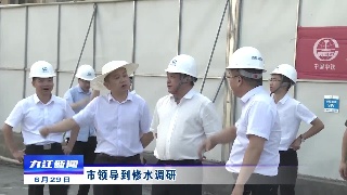 市领导到修水调研