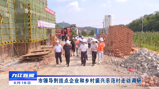 市领导到挂点企业和乡村振兴示范村走访调研