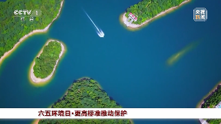 【央媒看九江】央视《晚间新闻》播出九江长江岸线生态环境改善惠及群众