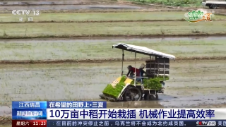 【央媒看九江】央视《新闻直播间》关注瑞昌10万亩中稻栽插工作