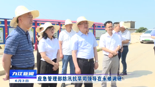 应急管理部防汛抗旱司领导在永修调研
