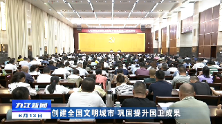全市巩固国家卫生城市创建成果工作推进会召开，蒋文定出席并讲话