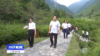 市领导到庐山市调研督导桃花源景区品质提升工作
