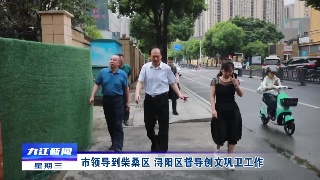 市领导到柴桑区 浔阳区督导创文巩卫工作