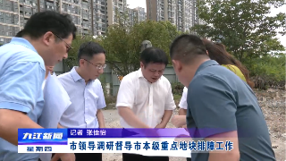 市领导调研督导市本级重点地块排障工作