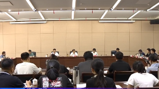 市委政法委机关工作年中调度会召开，严盛平出席并讲话