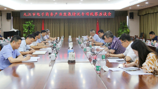 市政协开展电子商务产业发展情况专题视察，占勇带队