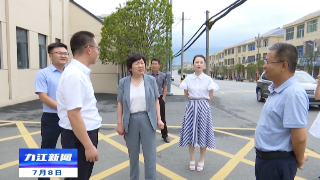 市领导到柴桑区调研督导创文巩卫工作