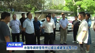 市领导调研督导中心城区城建项目等工作