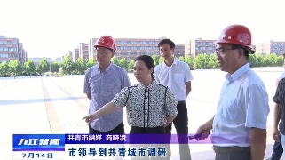 市领导到共青城市调研