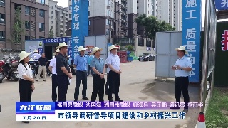 市领导调研督导项目建设和乡村振兴工作