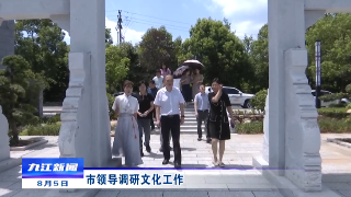 市领导调研文化工作