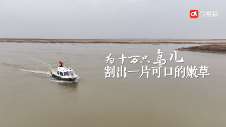 《为10万只鸟儿割出一片可口的嫩草》