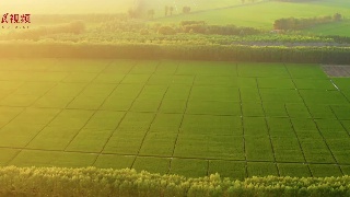 跟着总书记看中国——中国饭碗