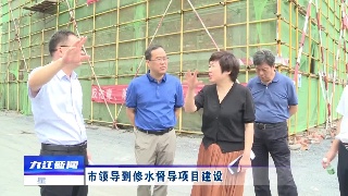 市领导到修水督导项目建设
