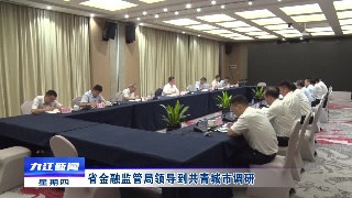 省金融监管局领导到共青城市调研