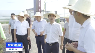 市领导到共青城调研