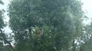 第四届庐山国际爱情电影周形象大使@张晋max 与@蔡少芬 夫妇登上庐山！乘缆车到达庐山之上，与观众共享好风光，超前揭秘主题盛典彩排现场…在蔡少芬发布的vlog中，你都发现了哪些甜蜜惊喜呢？今晚20:00，锁定CCTV-6电影频道及全网直播，更多精彩，敬请期待