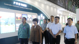副省长卢小青到九江调研