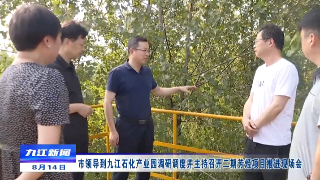 市领导到九江石化产业园调研并调度推进项目建设