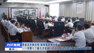 昂首迈步新征程 接续奋进再出发——市委十二届七次全体（扩大）会议代表分组进行讨论和审议