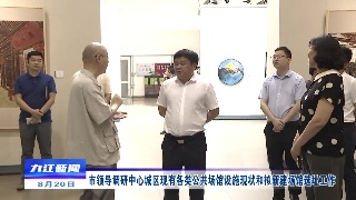 市领导调研中心城区现有各类公共场馆设施现状和拟新建场馆选址工作