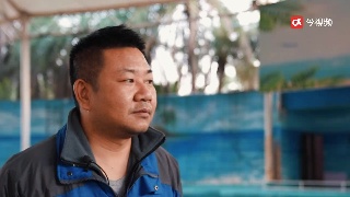 二十年的微笑守护