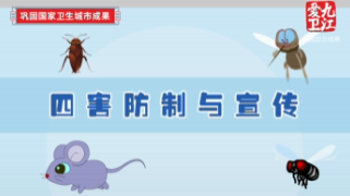 创建全国文明城市 巩固提升国卫成果 |《四害防制与宣传》