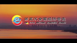 第五次全国经济普查宣传片