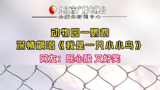 动物园一鹦鹉深情飙唱《我是一只小小鸟》网友：既心酸 又好笑