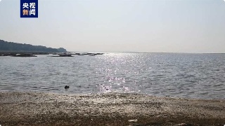 【09•11早安丨九江】鄱阳湖水位重回12米枯水线以下；九江一男子醉驾还指使朋友作伪证被拘役；九江一企业上榜国家级榜单