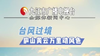 台风过境  庐山黄云万里动风色