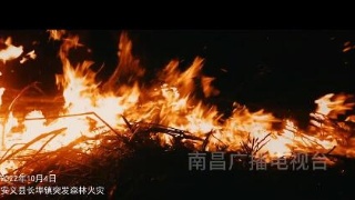 裴纯：逆行火焰蓝 人民守护者