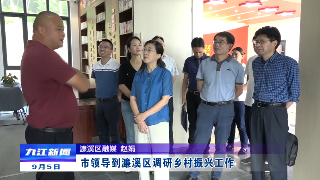 市领导到濂溪区调研乡村振兴工作