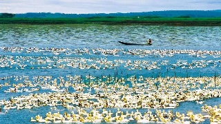 【09•05早安丨九江】鄱阳湖水位止跌回涨；九江这条路即将建成通车；世界冠军来瑞昌市一对一指导乒乓球训练