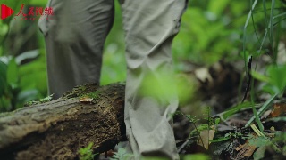 跟着总书记看中国——海南篇 雨林守护者