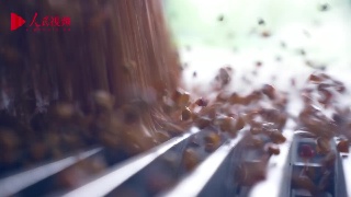 跟着总书记看中国——山东篇 端稳中国粮 科技当自强