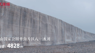 跟着总书记看中国——青海篇 大美青海，我们共同守护