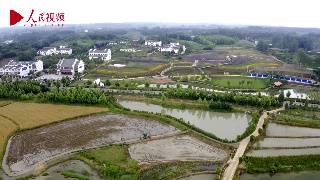 跟着总书记看中国——河南篇 东岳老杨脱贫记