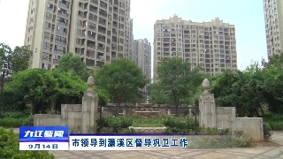 市领导到濂溪区督导巩卫工作
