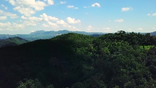【中国纪录片大会展播片目】《雨林之子》第三集：雨林礼物  大自然的本色馈赠