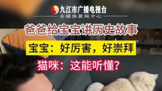 爸爸给宝宝讲历史故事，宝宝：好厉害，好崇拜，猫咪：这能听懂？