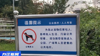 【创建全国文明城市 巩固提升国卫成果】规范文明养犬 共建文明城市