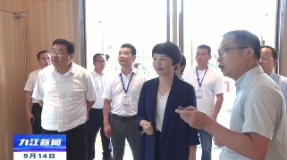 卢小青在共青城市调研  