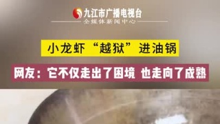 小龙虾“越狱”进油锅 网友：它不仅走出了困境 也走向了成熟