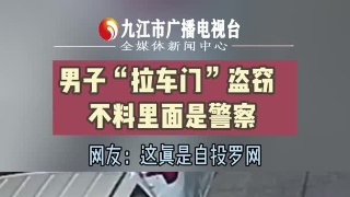 男子“拉车门”盗窃   不料里面是警察 网友：这真是自投罗网